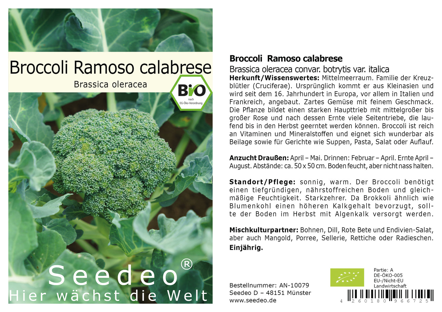 Seedeo® Broccoli Ramoso calabrese (Brassica oleracea convar. botrytis var. italica) 50 Samen BIO