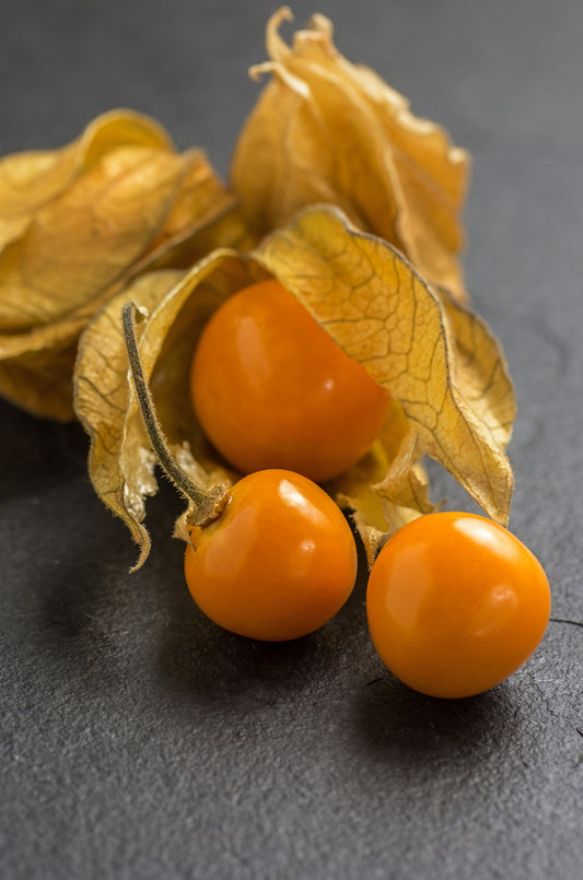 Seedeo® Peruanische Andenbeere (Physalis peruviana) 50 Samen BIO