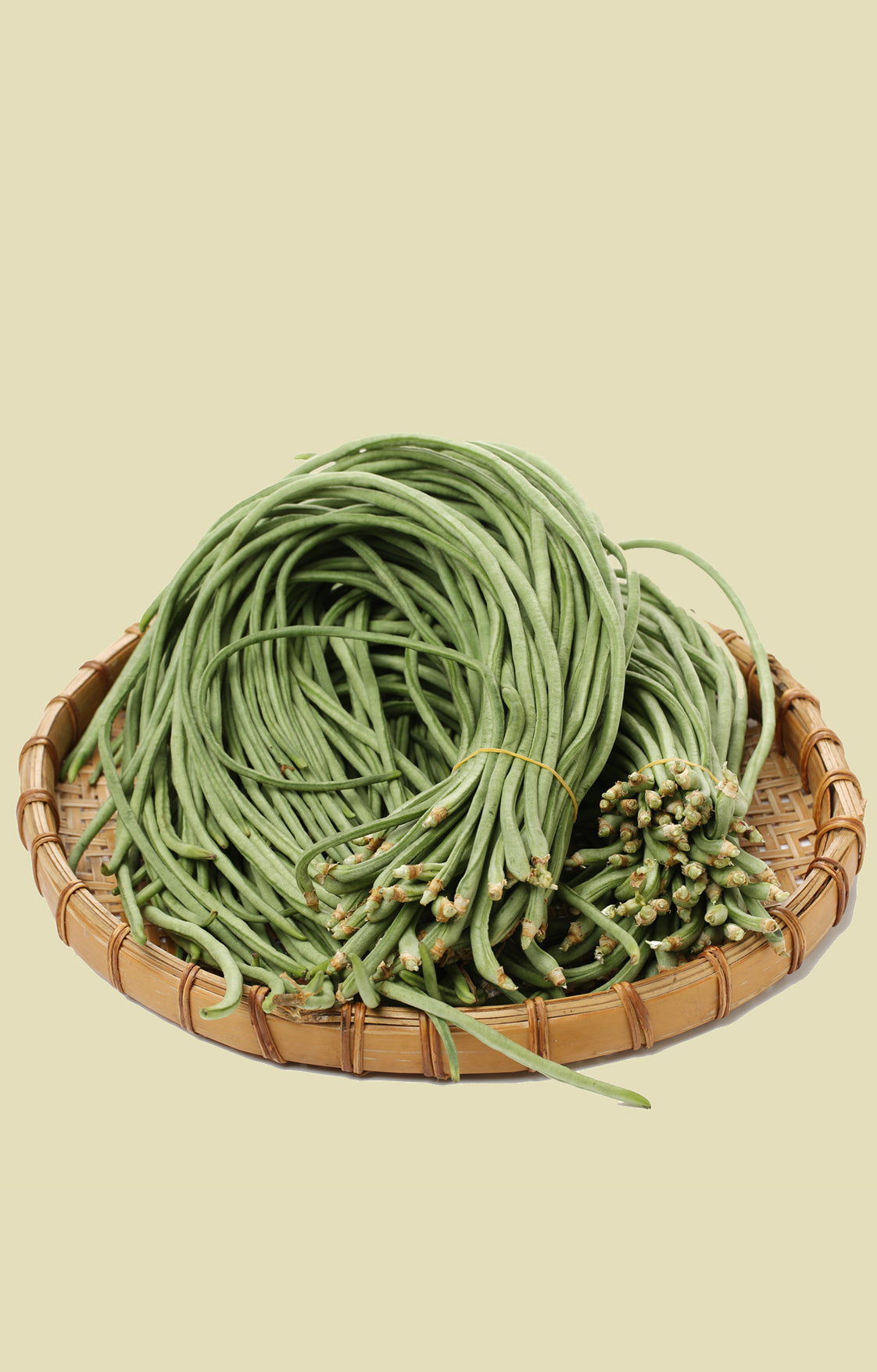 Seedeo® Spaghettibohne Metro (Vigna unguiculata) 20 Samen BIO