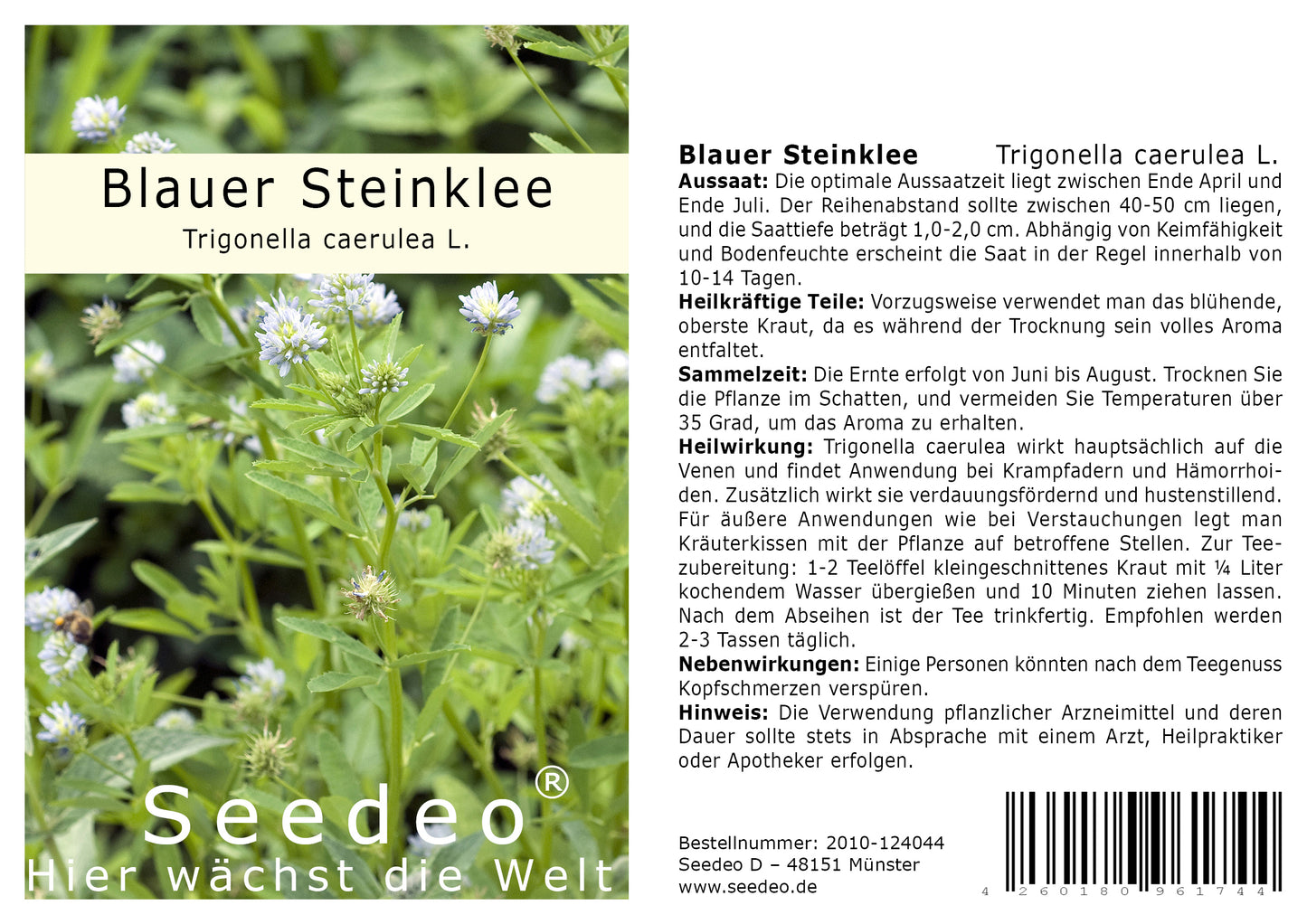 Seedeo® Blauer Steinklee (Trigonella caerulea L.) 300 Samen