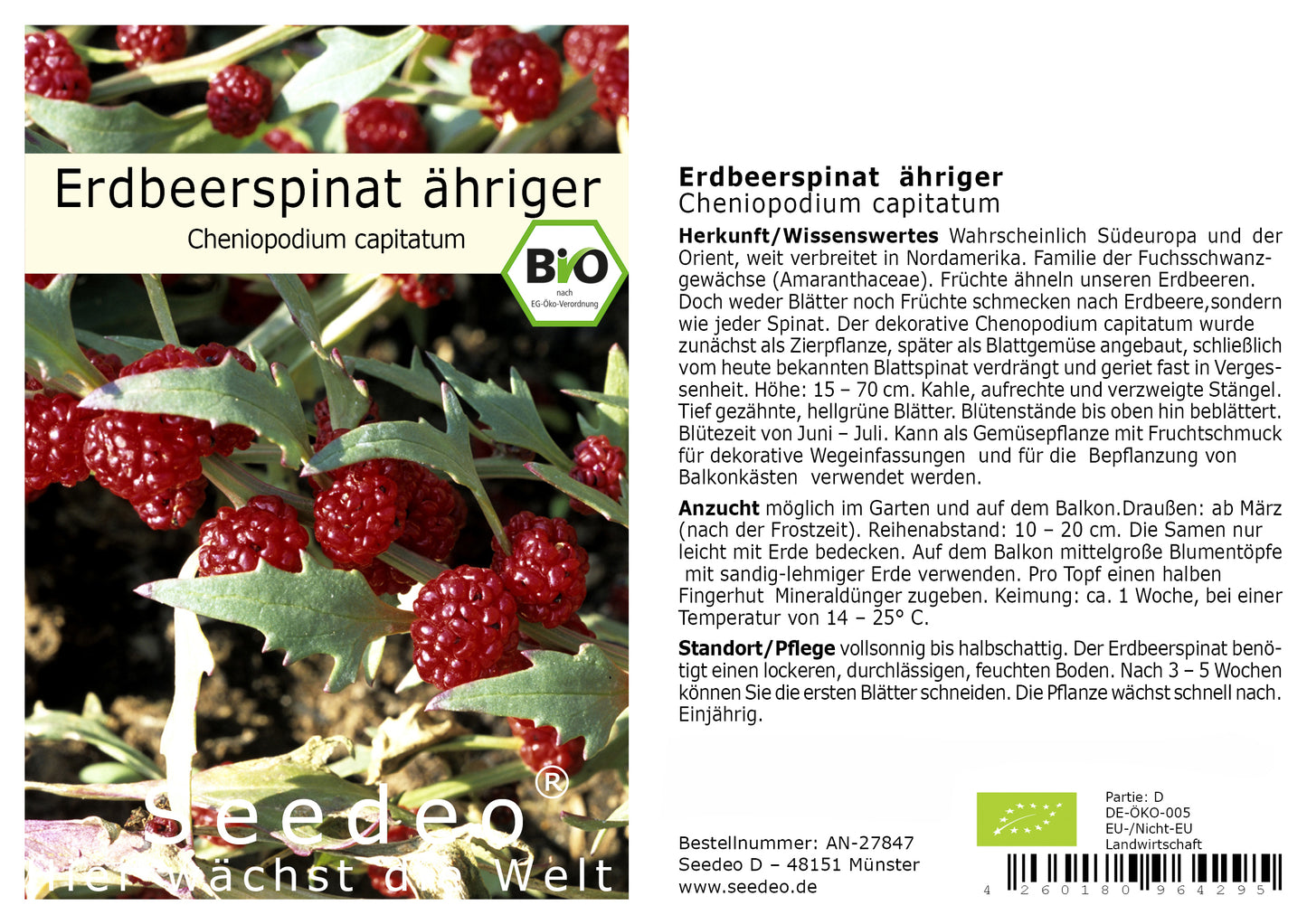 Seedeo® Erdbeerspinat, ähriger (Cheniopodium capitatum) 300 Samen BIO