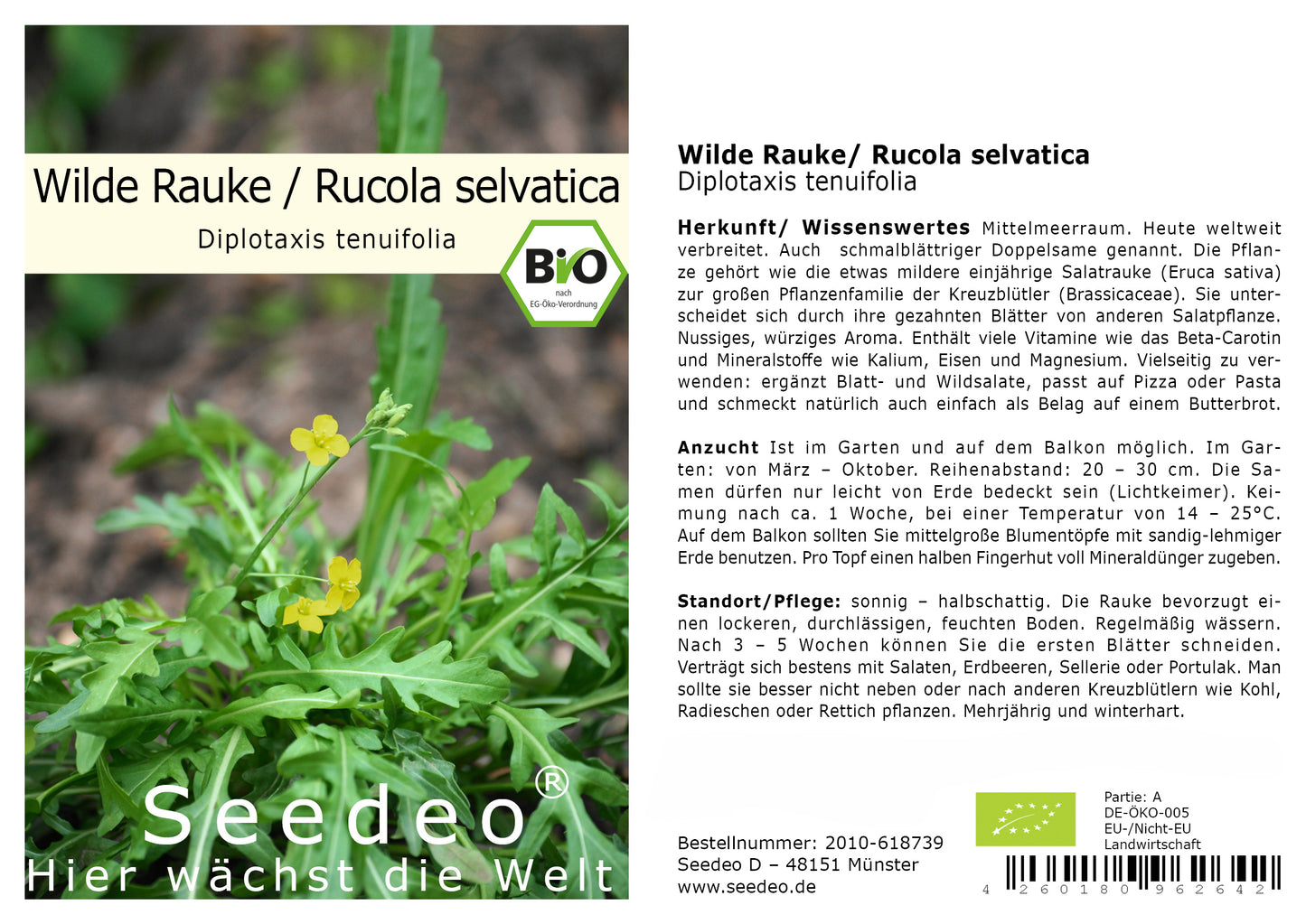 Seedeo® Rucola selvatica/Wilde Rauke (Diplotaxis tenuifolia) 500 Samen BIO