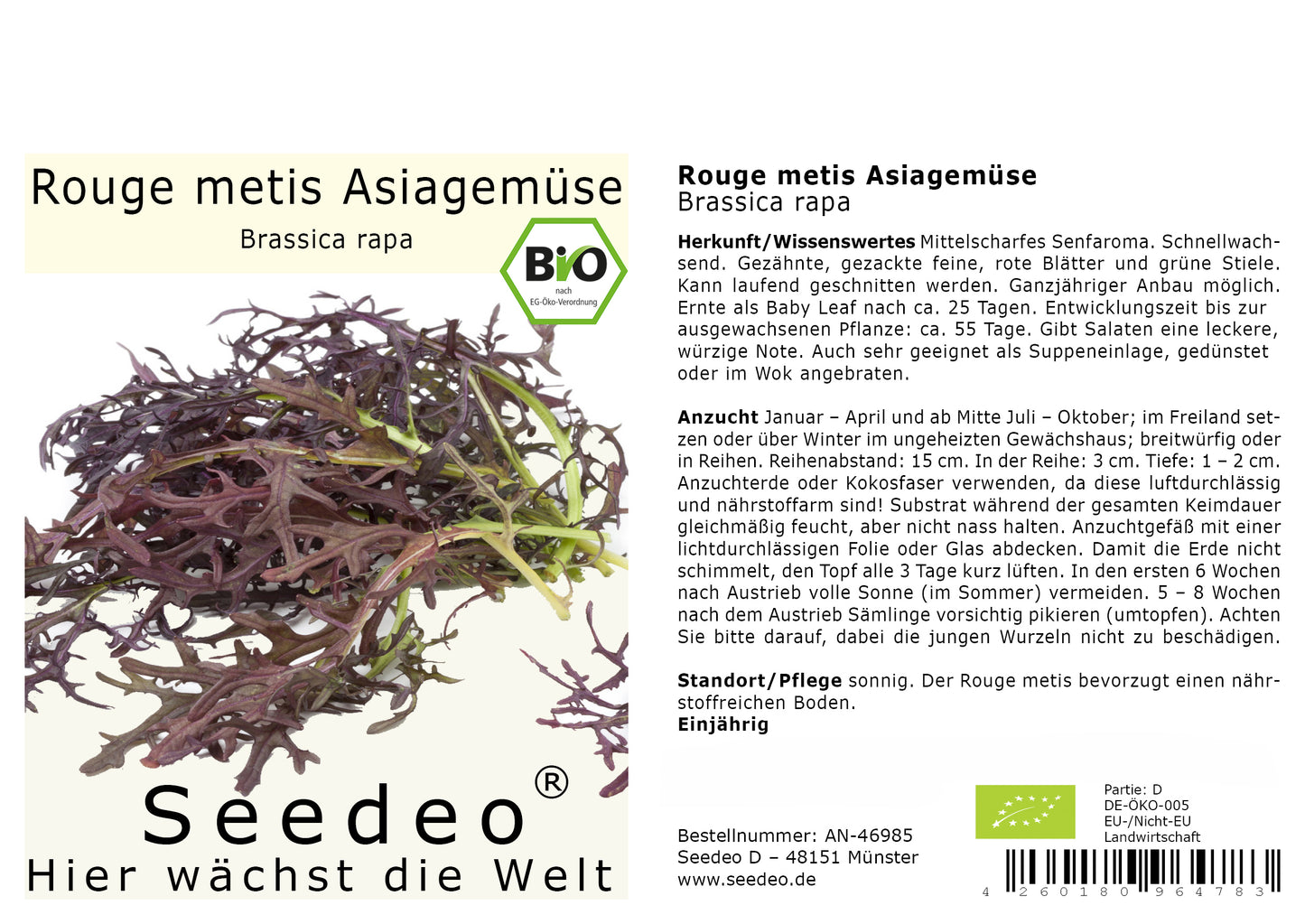 Seedeo® Rouge metis Asiagemüse (Brassica rapa) ca. 500 Samen BIO