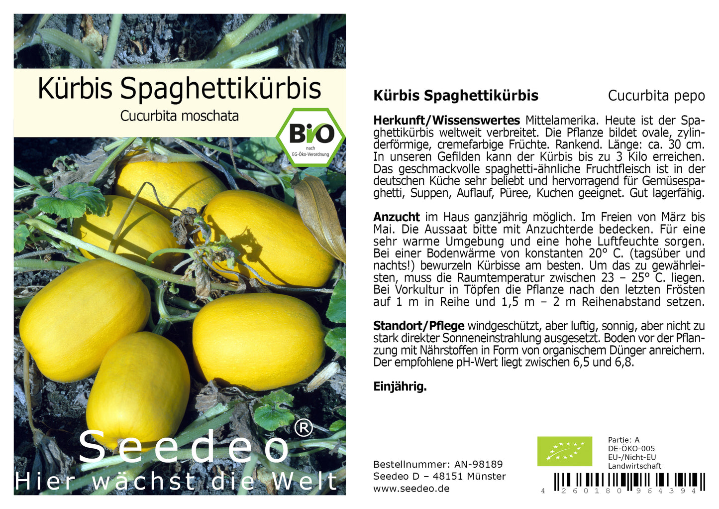 Seedeo® Spaghettikürbis (Cucurbita pepo) 10 Samen BIO