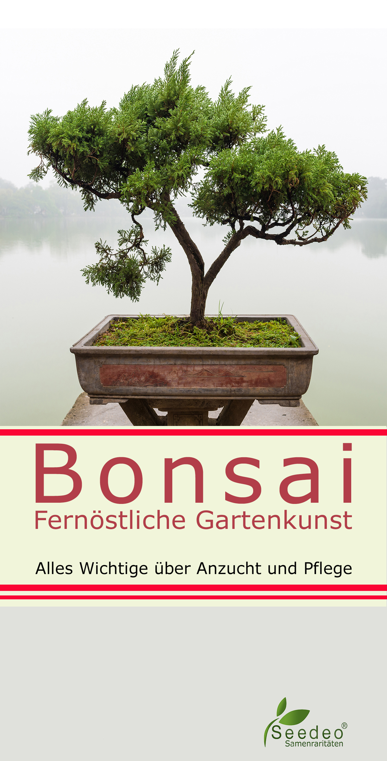 Seedeo® Bonsai Anzuchtset deluxe Best of