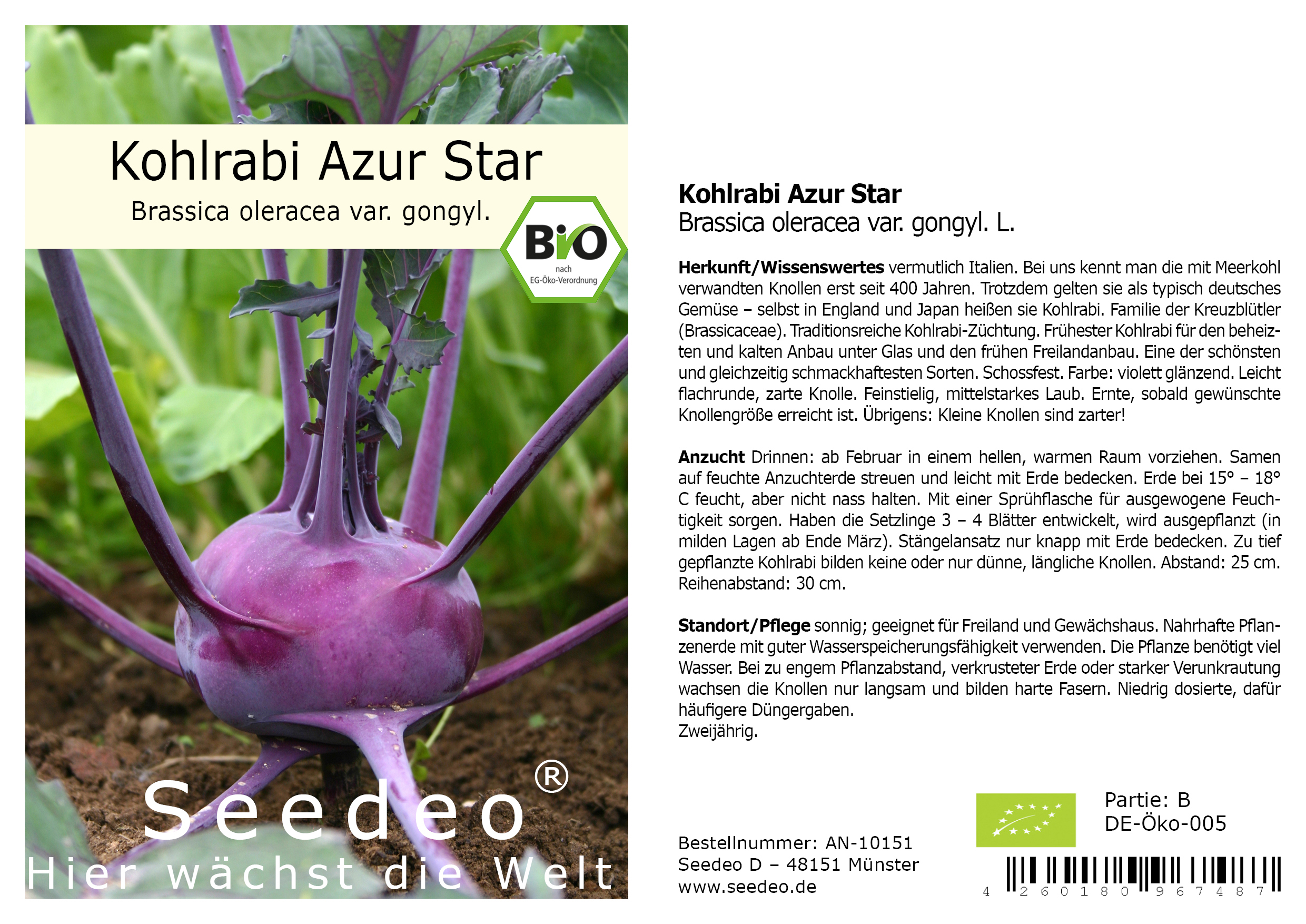 Seedeo® Kohlrabi Azur Star (Brassica oleracea var. gongyl. L.) ca. 100 Samen BIO