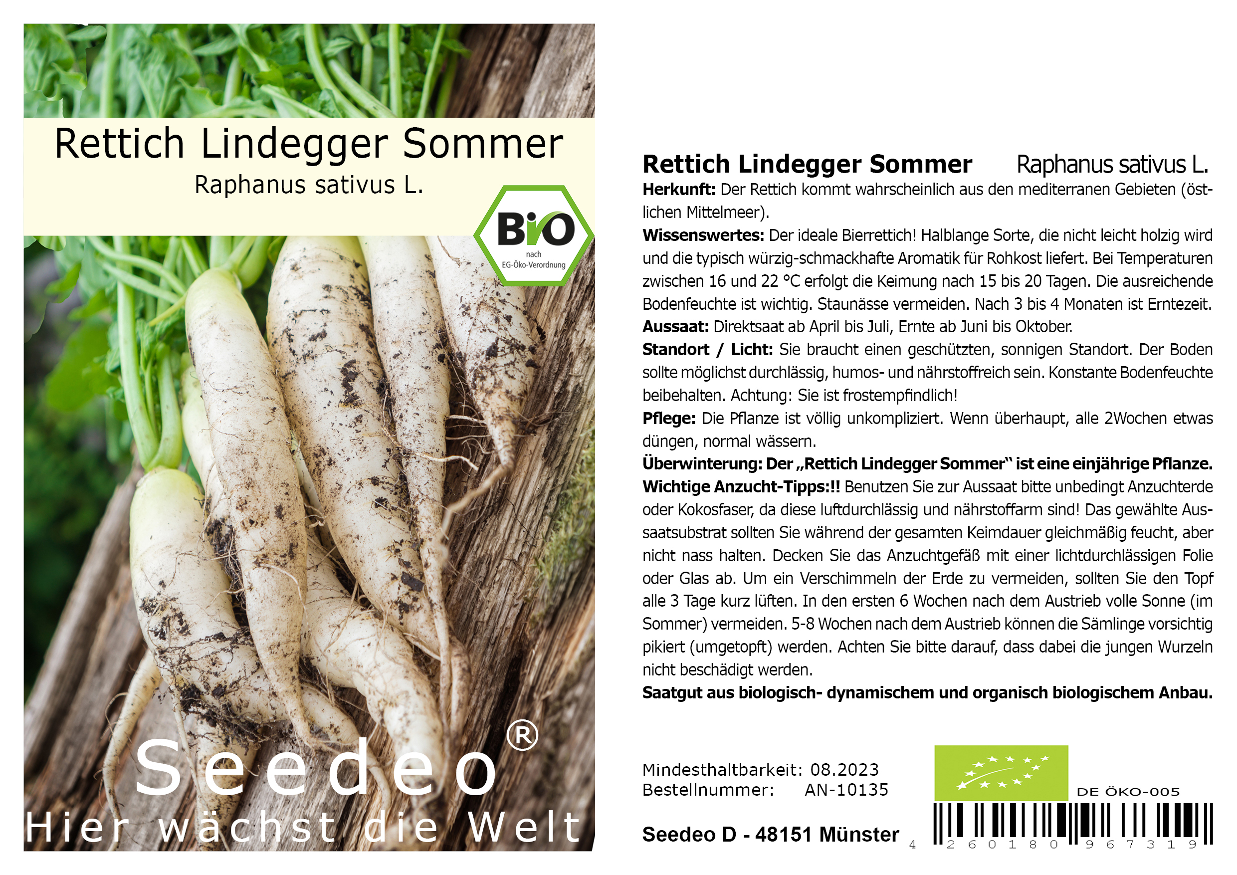 Seedeo® Rettich Lindegger Sommer (Raphanus sativus L.) 250 Samen BIO