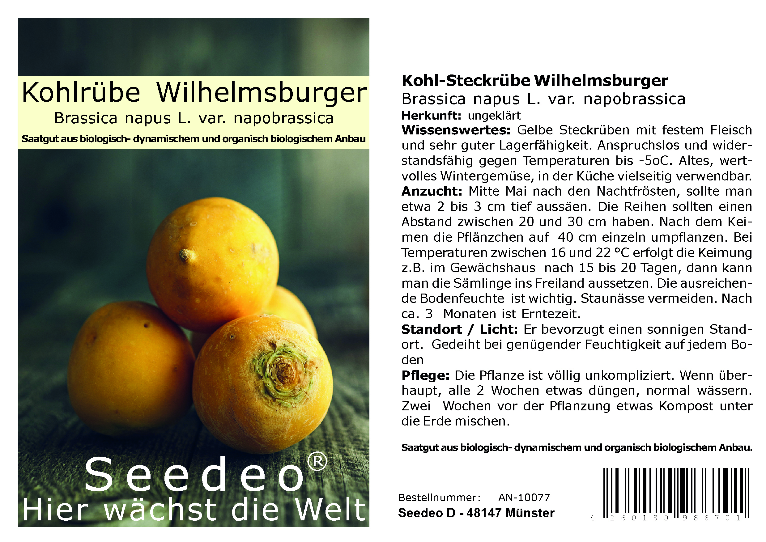 Seedeo® Kohl-Steckrübe Wilhelmsburger  (Brassica napus L. var. napobrassica) 300 Samen BIO