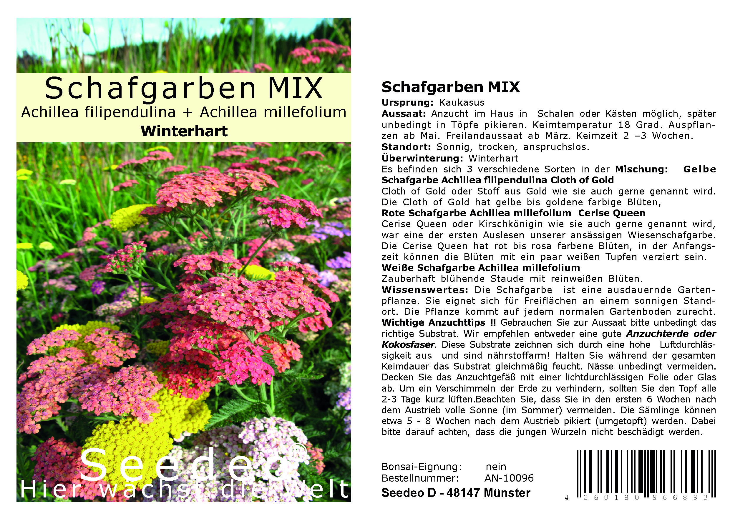 Seedeo® Schafgarben MIX ca. 300 Samen