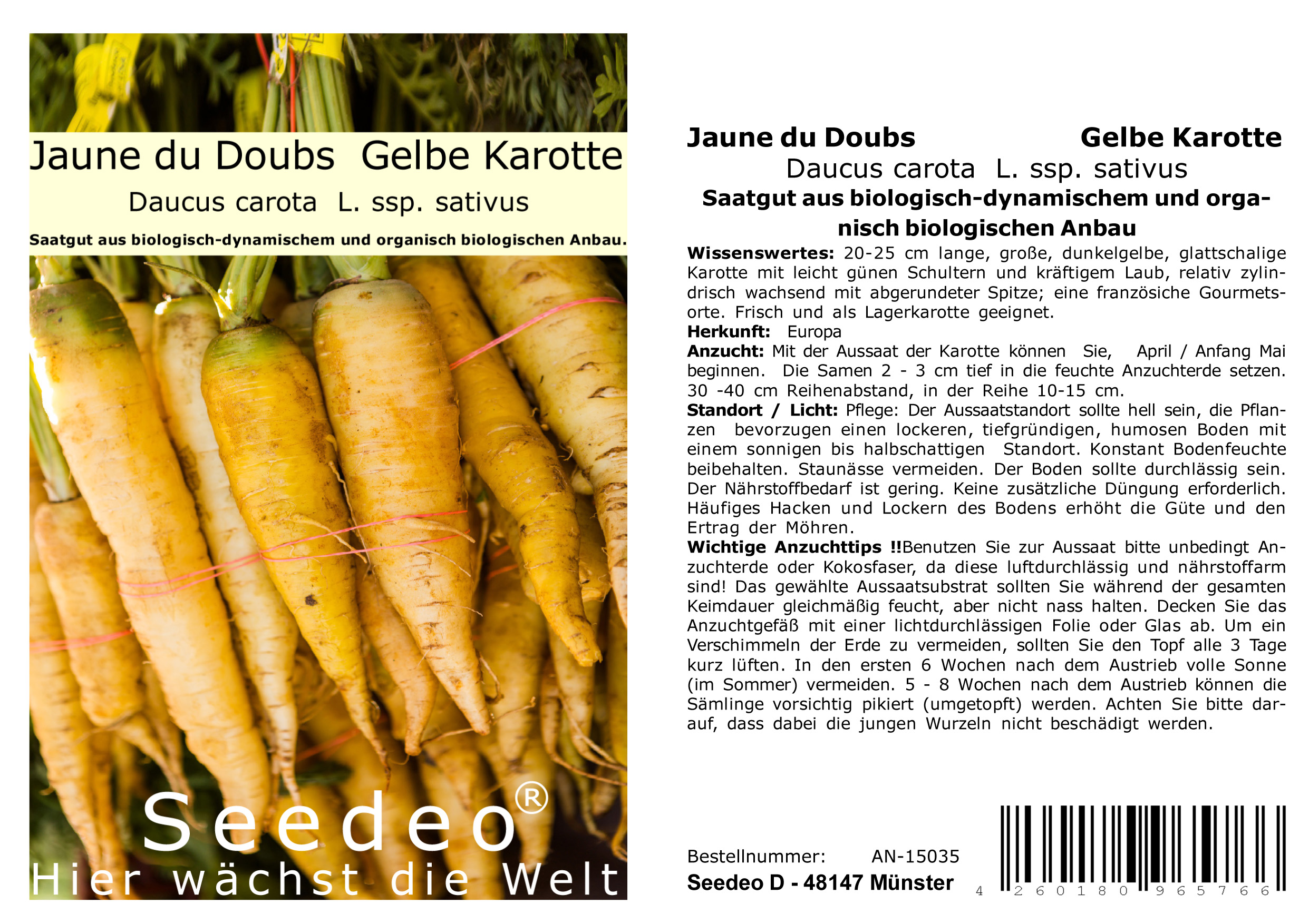 Seedeo® Gelbe Karotte  Jaune du Doubs (Daucus carota  L. ssp. sativus) 100 Samen