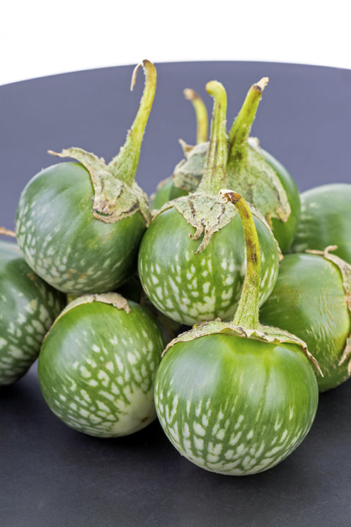 Seedeo® Thai-Aubergine Solanum virginianum  20 Samen