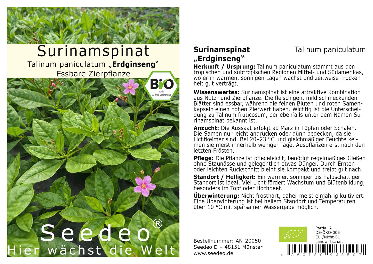 Seedeo® Surinamspinat (Talinum paniculatum) BIO 200 Samen