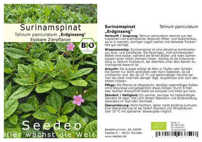 Seedeo® Surinamspinat (Talinum paniculatum) BIO 200 Samen