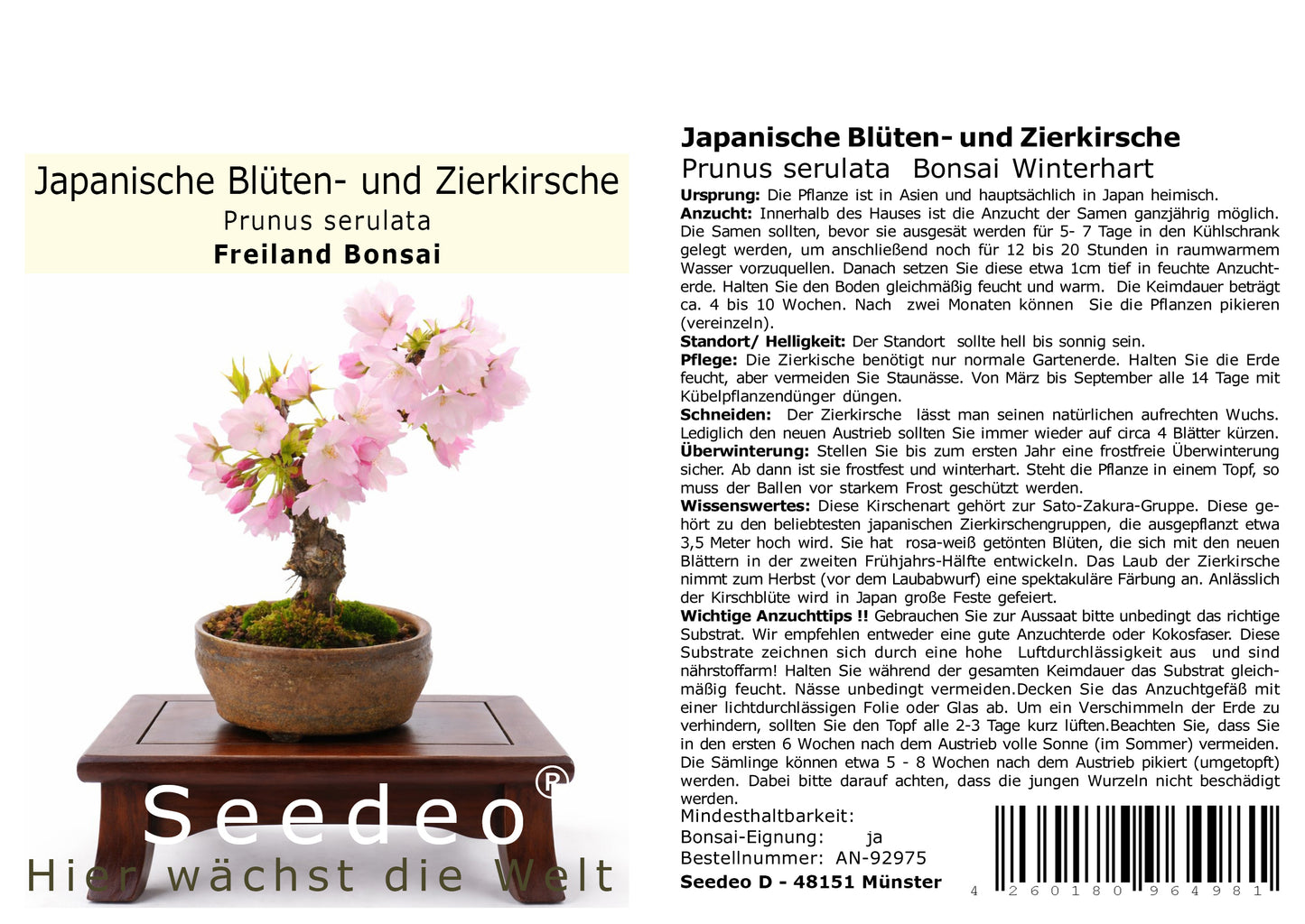 Seedeo Bonsai Anzuchtset Japanische Blüten- und Zierkirsche (Prunus serulata)