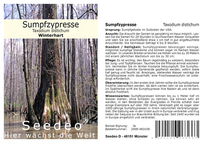 Seedeo® Sumpfzypresse (Taxodium distichum) 15 Samen