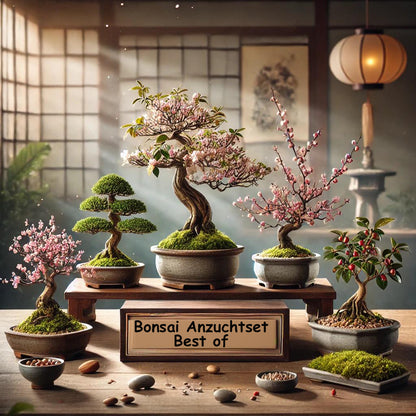 Seedeo® Bonsai Anzuchtset deluxe Best of (Japanische Blüten- und Zierkirsche, Blauregen,Zwerg-Granatapfel, Roter Fächerahorn,Japanische Kamelie)