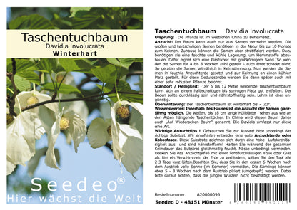 Seedeo® Taschentuchbaum (Davidia involucrata) 1 Samen