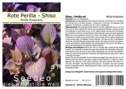 Seedeo® Shiso/Perilla rot (Perilla frutescens) ca. 200 Samen