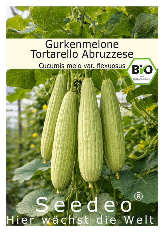 Seedeo® Gurkenmelone Tortarello Abruzzese  (Cucumis melo var. flexuosus) 10 Samen