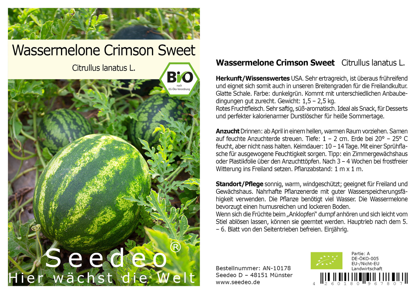 Seedeo®  Wassermelone Crimson Sweet (Citrullus lanatus L.) ca. 10 Samen BIO