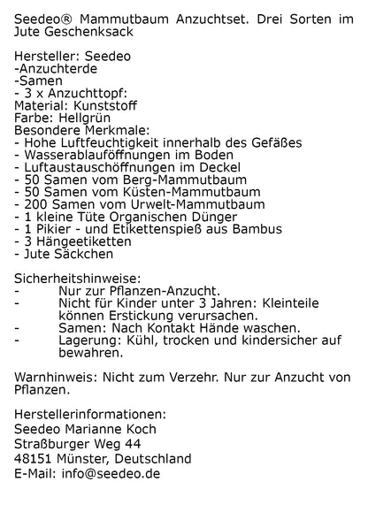 Seedeo® Mammutbaum Anzuchtset. Drei Sorten im Jute Geschenksack Bonsai geeignet.
