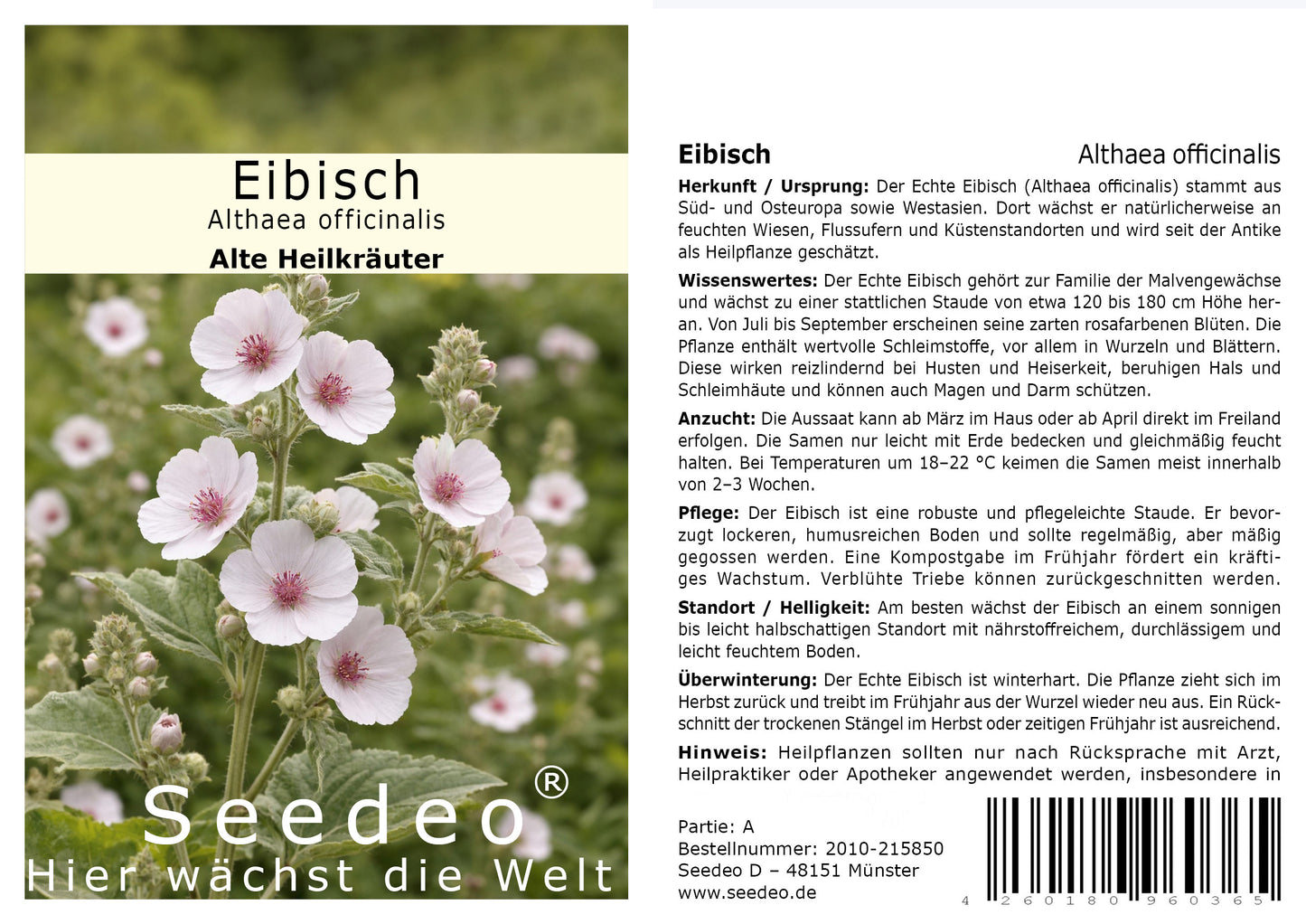 Seedeo® Eibisch (Althae officinalis) 100 Samen