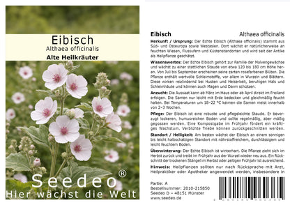Seedeo® Eibisch (Althae officinalis) 100 Samen