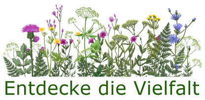 Seedeo® Inkarnatklee / Scharlachklee  (Trifolium incarnatum ) ca. 1000  Samen
