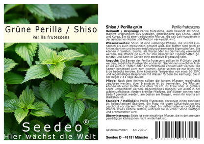Seedeo® Grüne Perilla/Shiso (Perilla frutescens) ca. 200 Samen