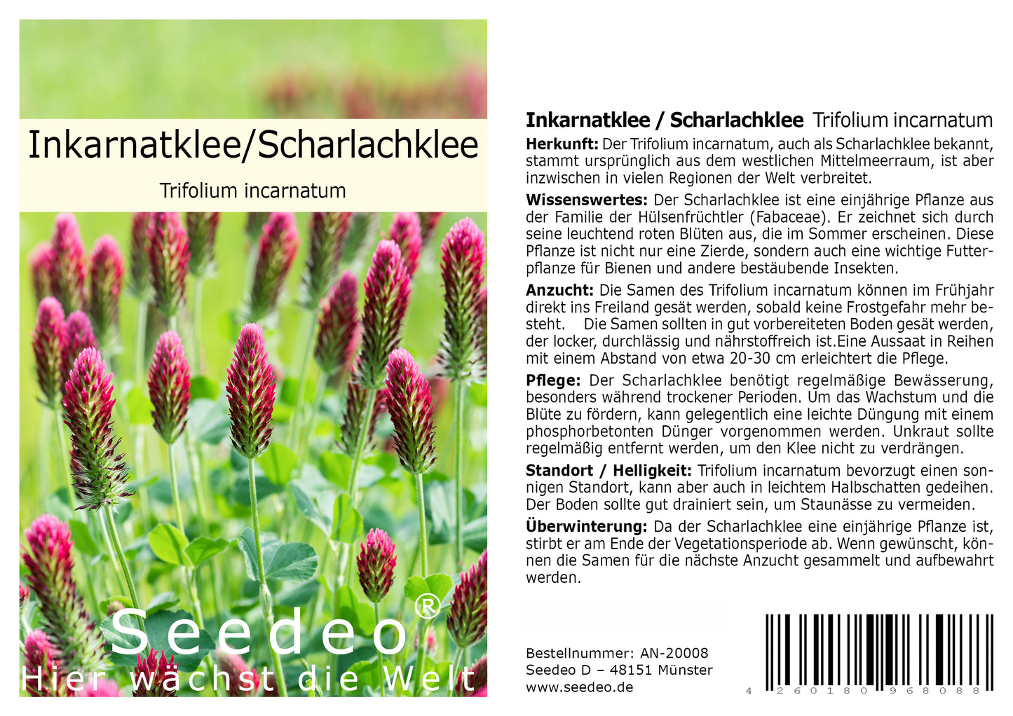 Seedeo® Inkarnatklee / Scharlachklee  (Trifolium incarnatum ) ca. 1000  Samen