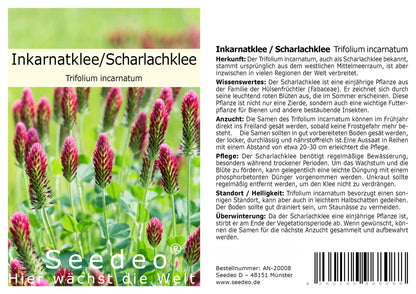 Seedeo® Inkarnatklee / Scharlachklee  (Trifolium incarnatum ) ca. 1000  Samen