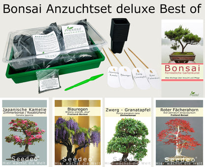 Seedeo® Bonsai Anzuchtset deluxe Best of (Japanische Blüten- und Zierkirsche, Blauregen,Zwerg-Granatapfel, Roter Fächerahorn,Japanische Kamelie)