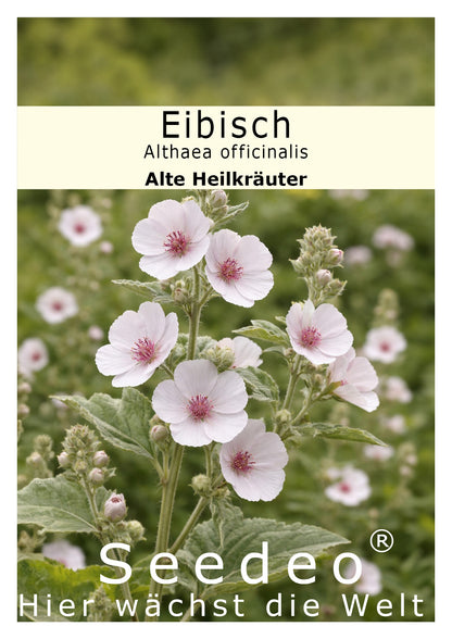 Seedeo® Eibisch (Althae officinalis) 100 Samen