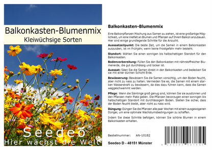 Seedeo® Balkonkasten-Blumenmix Kleinwüchsige Sorten