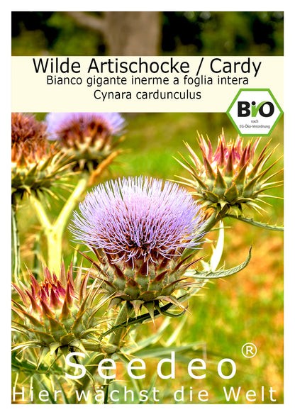 Seedeo® Wilde Artischocke / Cardy (Cynara cardunculus) 20 Samen BIO