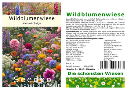 Seedeo® Wildblumenwiese Kleinwüchsige Sorten