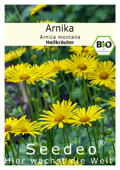 Seedeo® Arnika (Arnica montana) ca. 50 Samen BIO