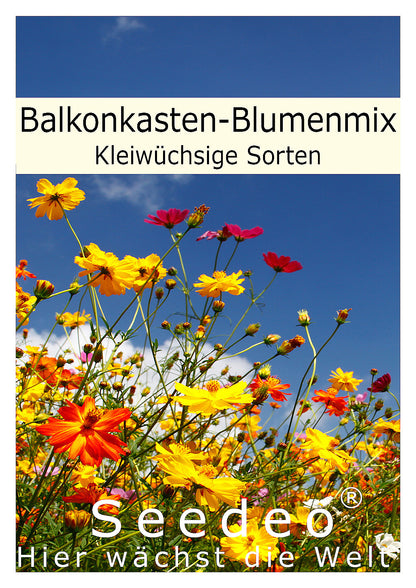 Seedeo® Balkonkasten-Blumenmix Kleinwüchsige Sorten