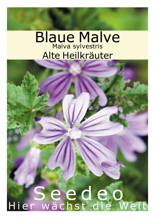 Seedeo® Blaue Malve (Malva sylvestris) 200 Samen