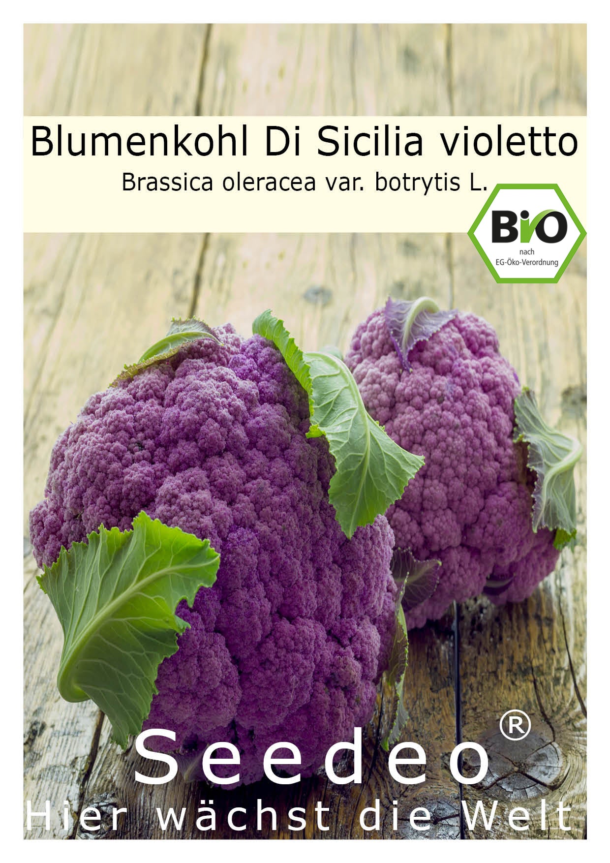 Seedeo® Blumenkohl Di Sicilia violetto (Brassica oleracea var. botrytis L.) 50 Samen BIO