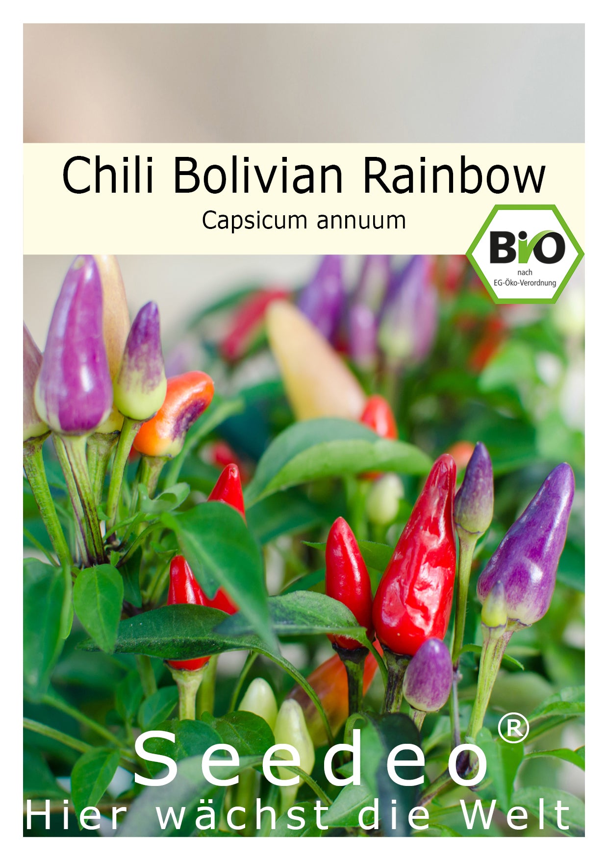 Seedeo® Chili Bolivian Rainbow (Capsicum annuum) 10 Samen BIO