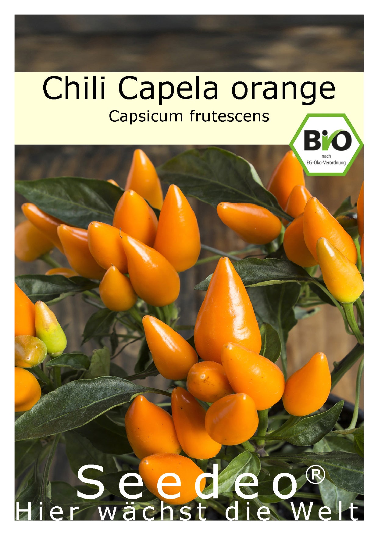 Seedeo® Chili Capela orange (Capsicum frutescens) BIO
