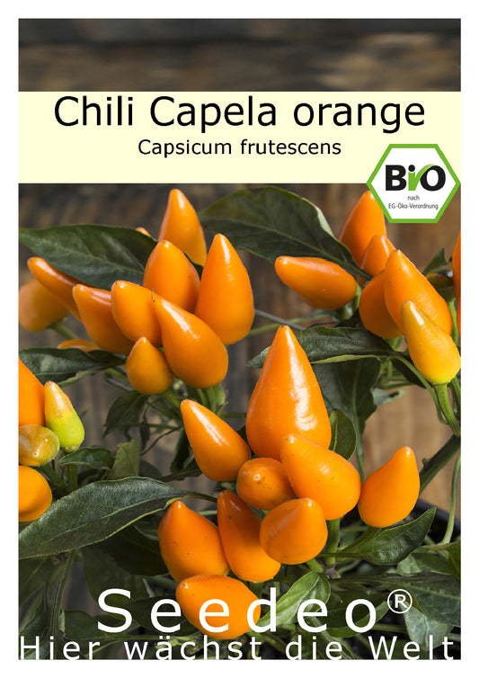 Seedeo® Chili Capela orange (Capsicum frutescens) BIO