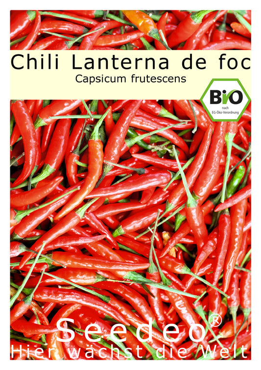 Seedeo® Chili Lanterna de foc (capsicum annuum) 30 Samen BIO