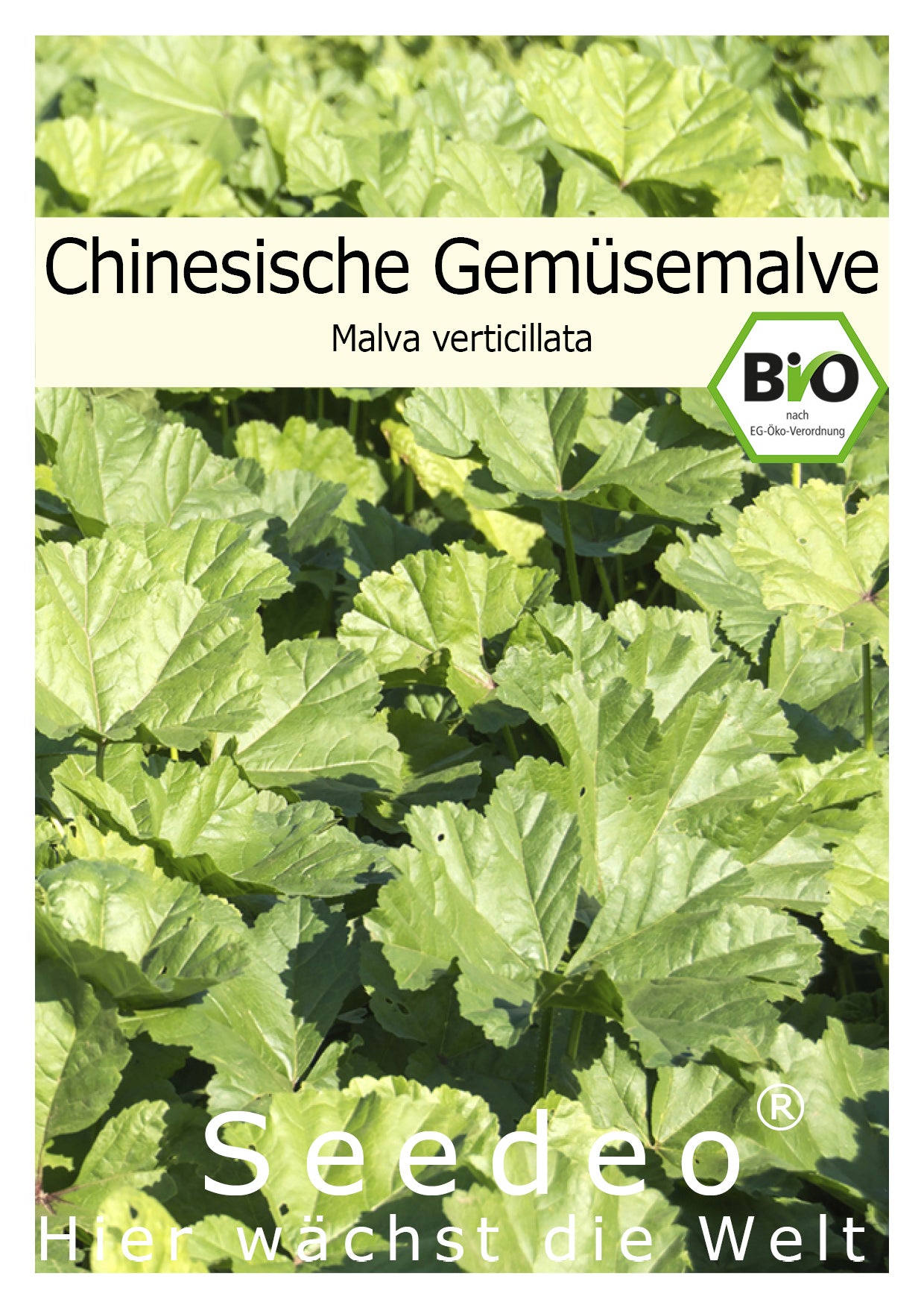 Seedeo® Chinesische Gemüsemalve (Malva verticillata) 200 Samen BIO