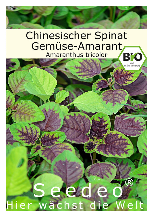 Seedeo® Chinesischer Spinat (Amaranthus tricolor) ca. 200 Samen BIO
