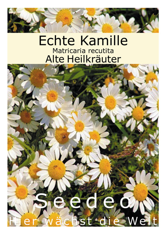 Seedeo® Echte Kamille  Matricaria recutita 1000 Samen