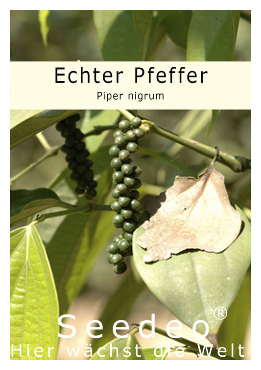 Seedeo® Echter Pfeffer (Piper nigrum) 20 Samen