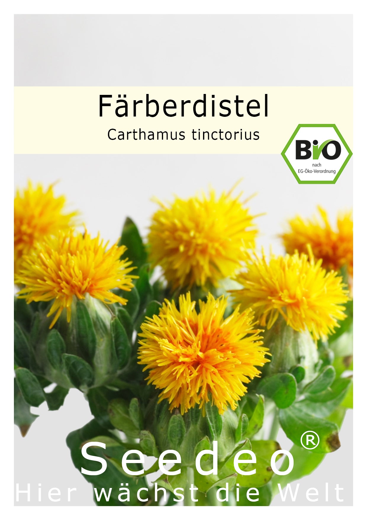 Seedeo® Färberdistel (Carthamus tinctorius) 30 Samen BIO