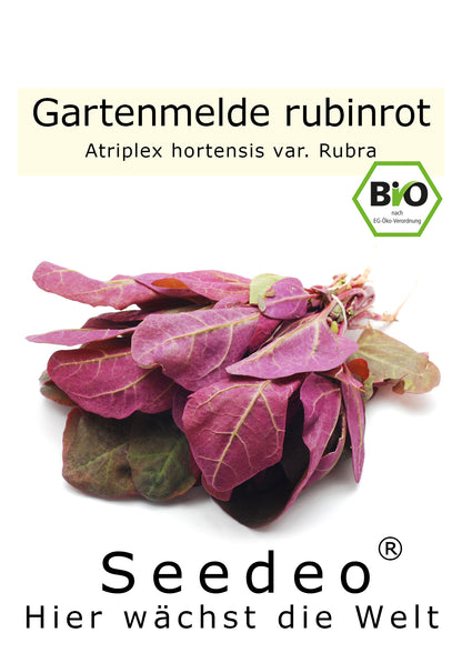 Seedeo® Gartenmelde rubinrot (Atriplex hortensis var. Rubra) 200 Samen BIO